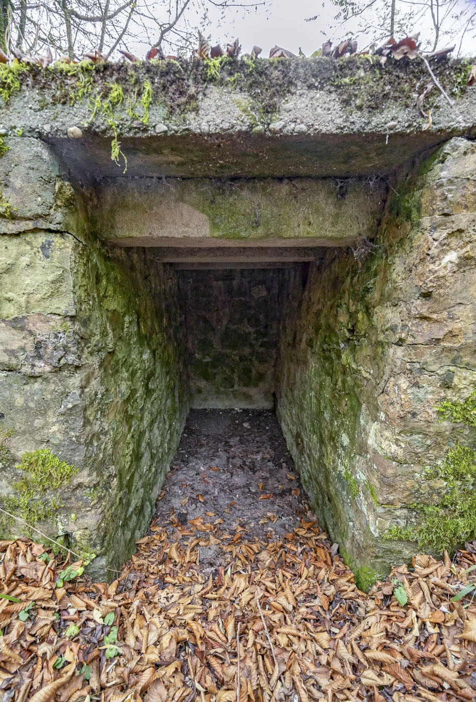 Ligne Maginot - HEIDENKOPF 1 - (Observatoire indéterminé) - Une niche.