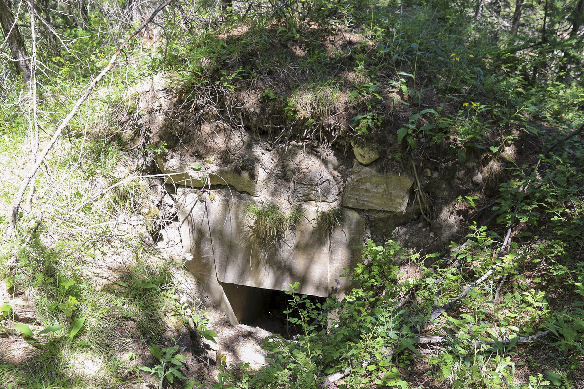 Ligne Maginot - CHALETS DU VALLON 2 - (Blockhaus pour arme infanterie) - Entrée
