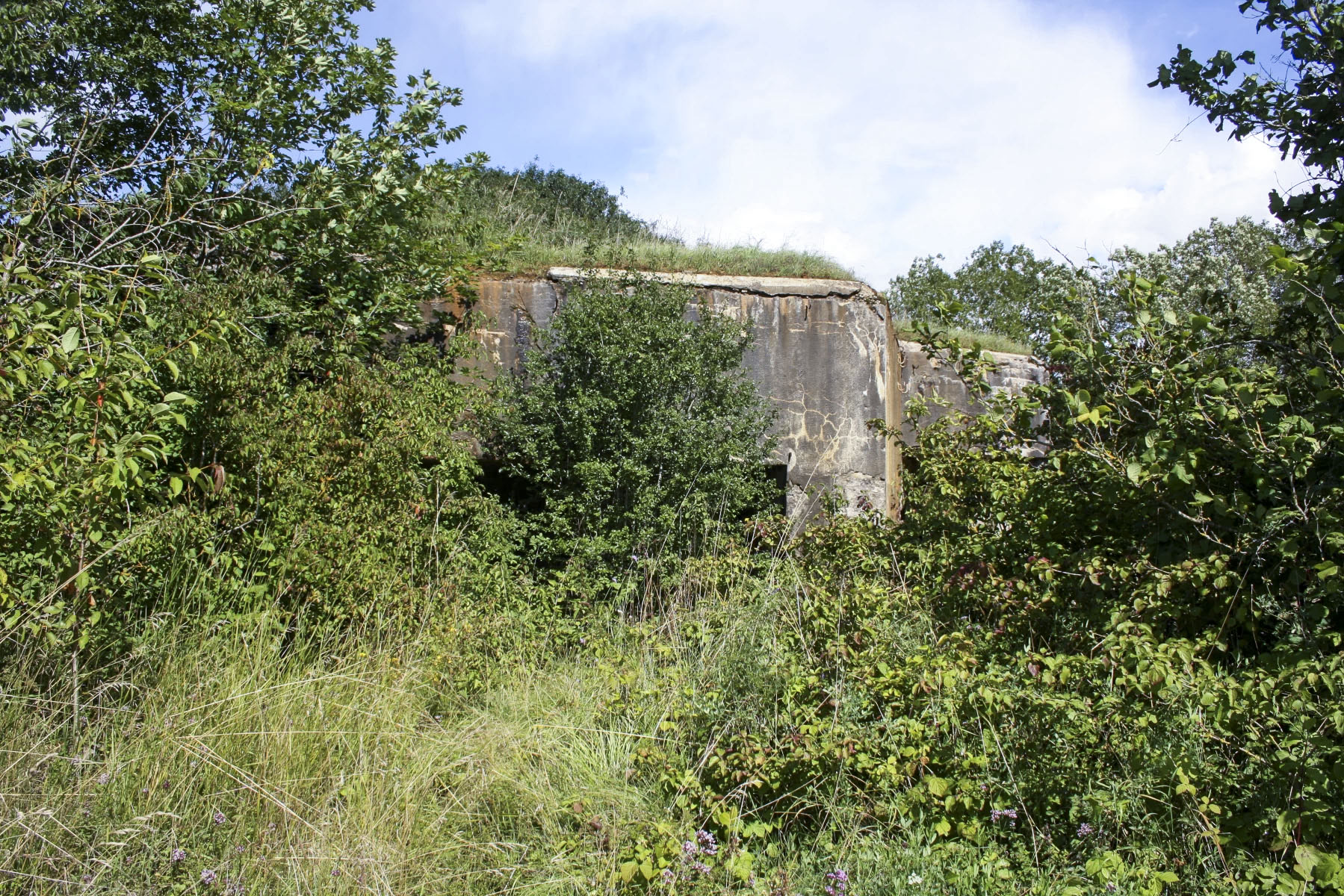 Ligne Maginot - RAVIN DE CRUSNES - C23 - (Casemate d'infanterie - Simple) - Façade de la casemate