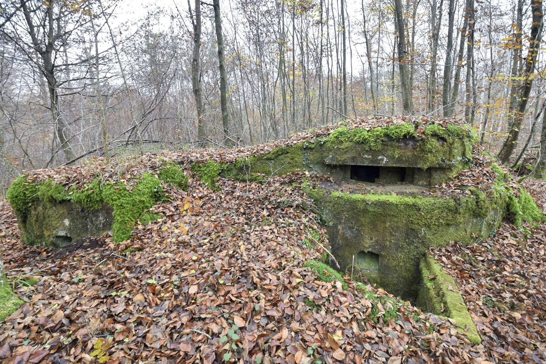 Ligne Maginot - SAUER 1 - (Blockhaus pour arme infanterie) - 