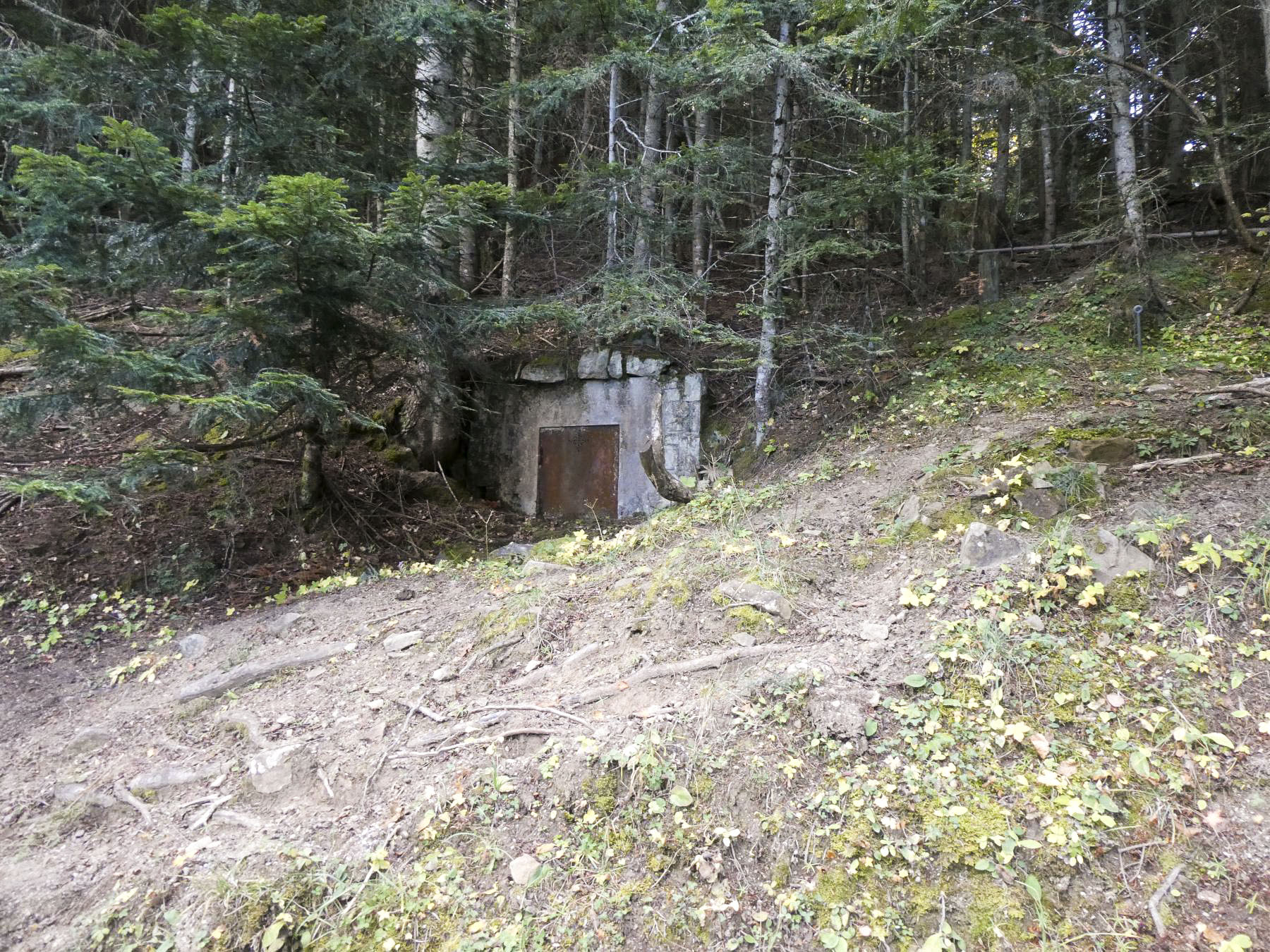 Ligne Maginot - BRAS DE LA COTE 1503 - (Chambre de coupure) - 