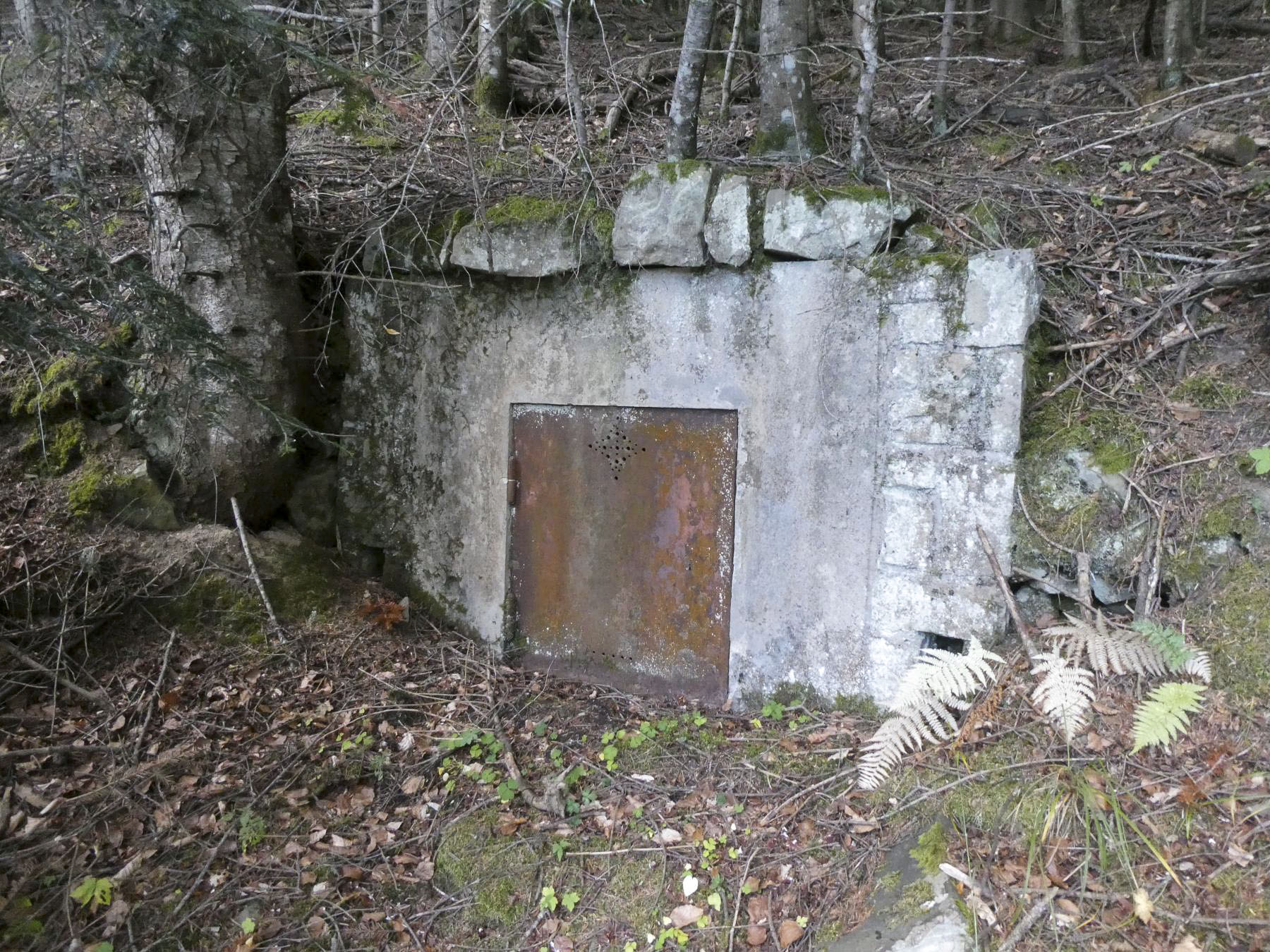 Ligne Maginot - BRAS DE LA COTE 1503 - (Chambre de coupure) - 