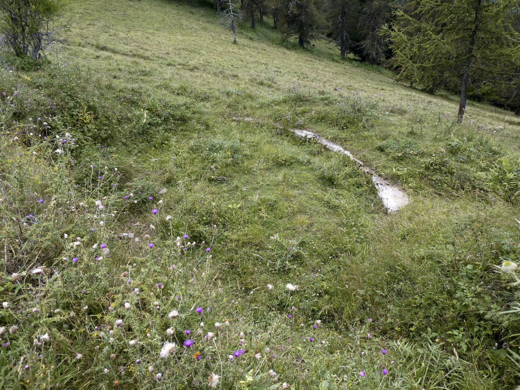 Ligne Maginot - CABANES VIEILLES - (Position d'artillerie préparée) - 