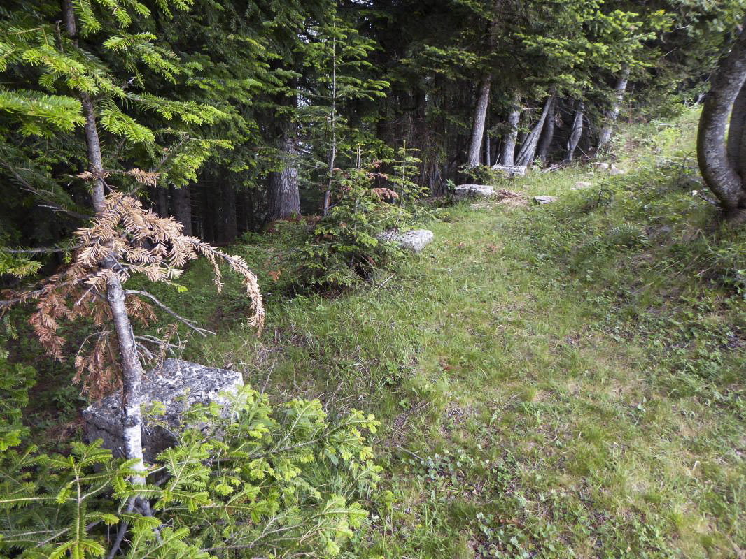 Ligne Maginot - CAMP D'ARGENT - (Casernement) - Quelques restes de soubassement