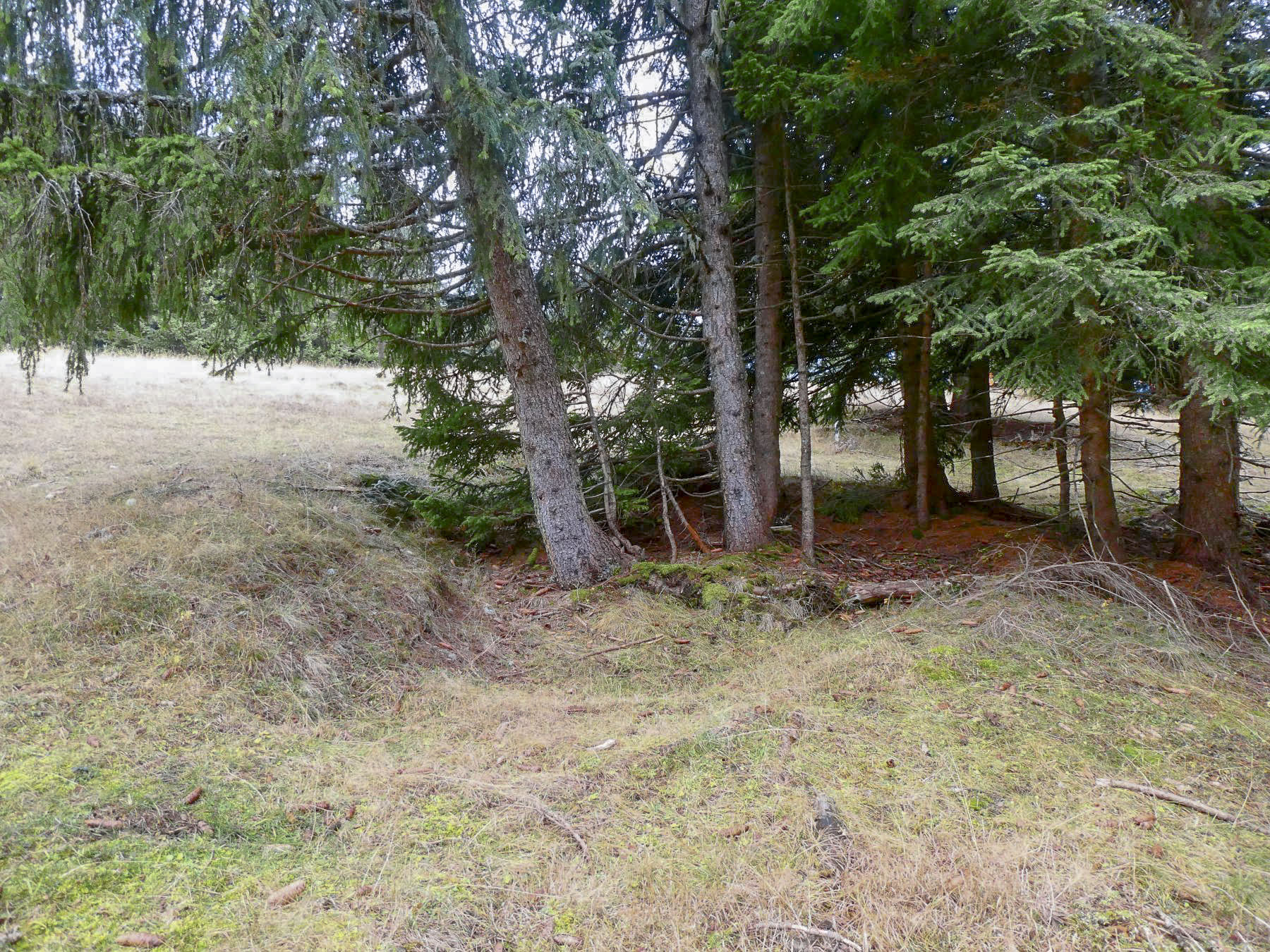 Ligne Maginot - CIME DE LA CALMETTE - (Position d'artillerie préparée) - Emplacement d'artillerie