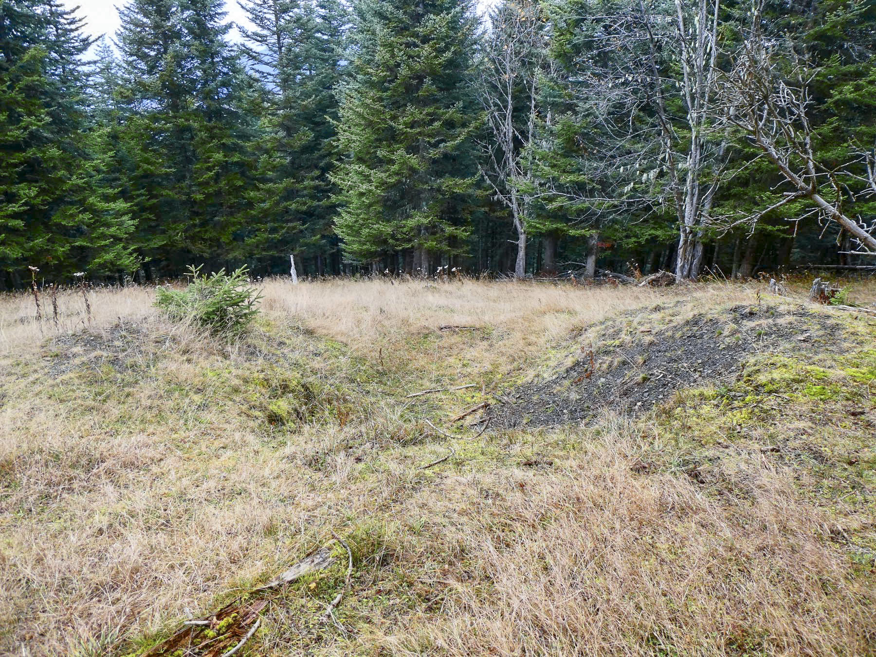 Ligne Maginot - CIME DE LA CALMETTE - (Position d'artillerie préparée) - Emplacement d'artillerie