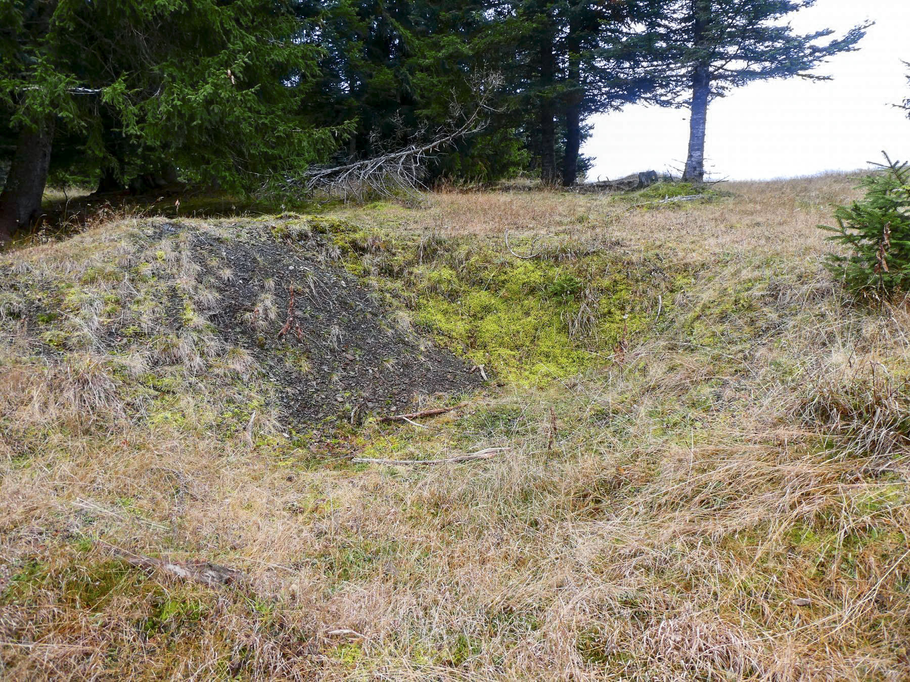 Ligne Maginot - CIME DE LA CALMETTE - (Position d'artillerie préparée) - Emplacement d'artillerie