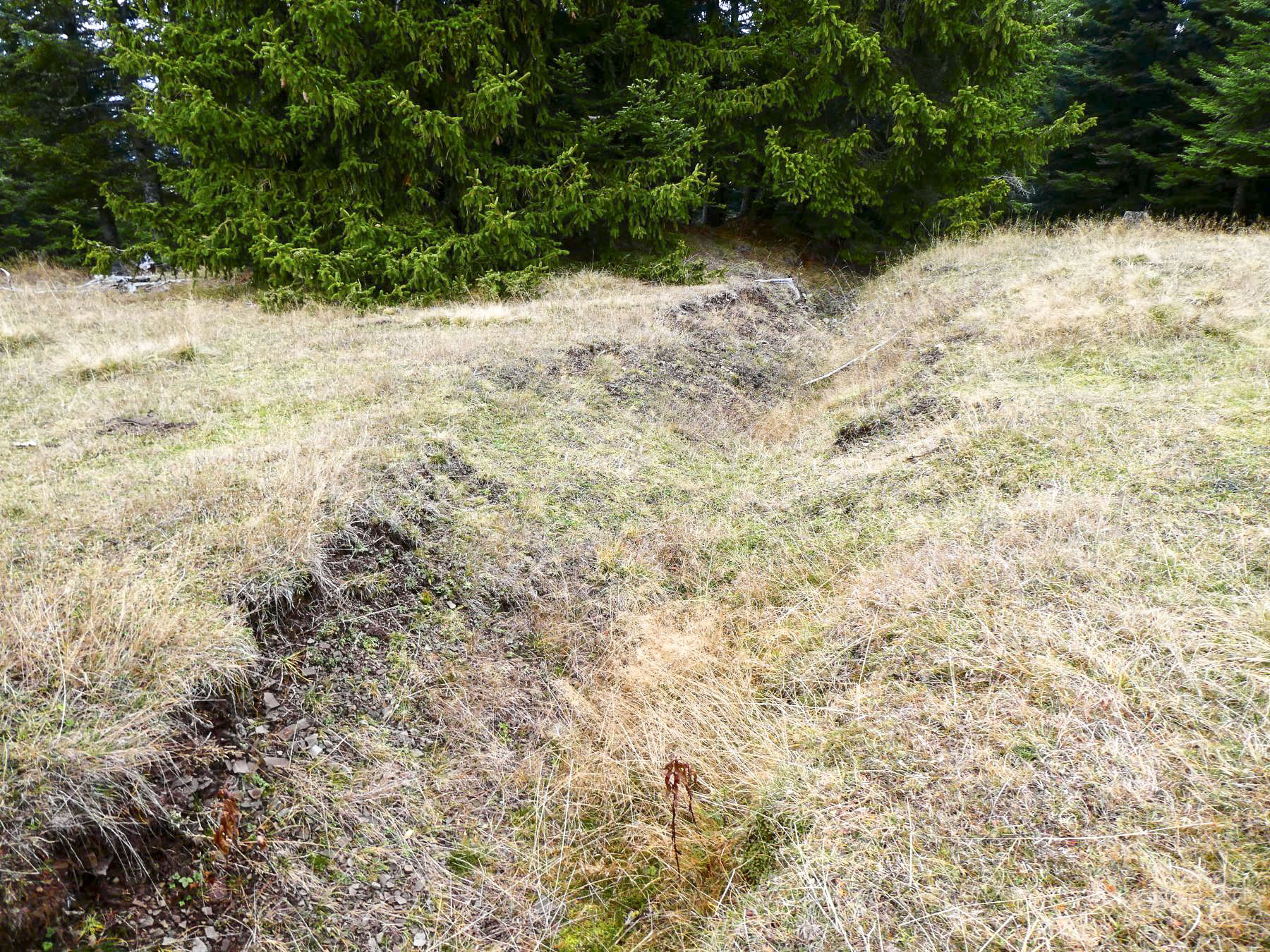 Ligne Maginot - CIME DE LA CALMETTE - (Position d'artillerie préparée) - Position d'infanterie