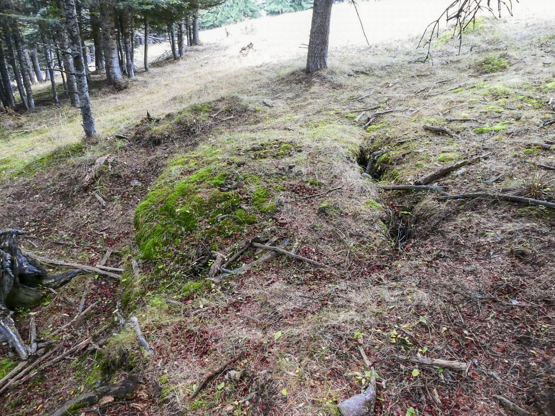 Ligne Maginot - CIME DE LA CALMETTE - (Position d'artillerie préparée) - 