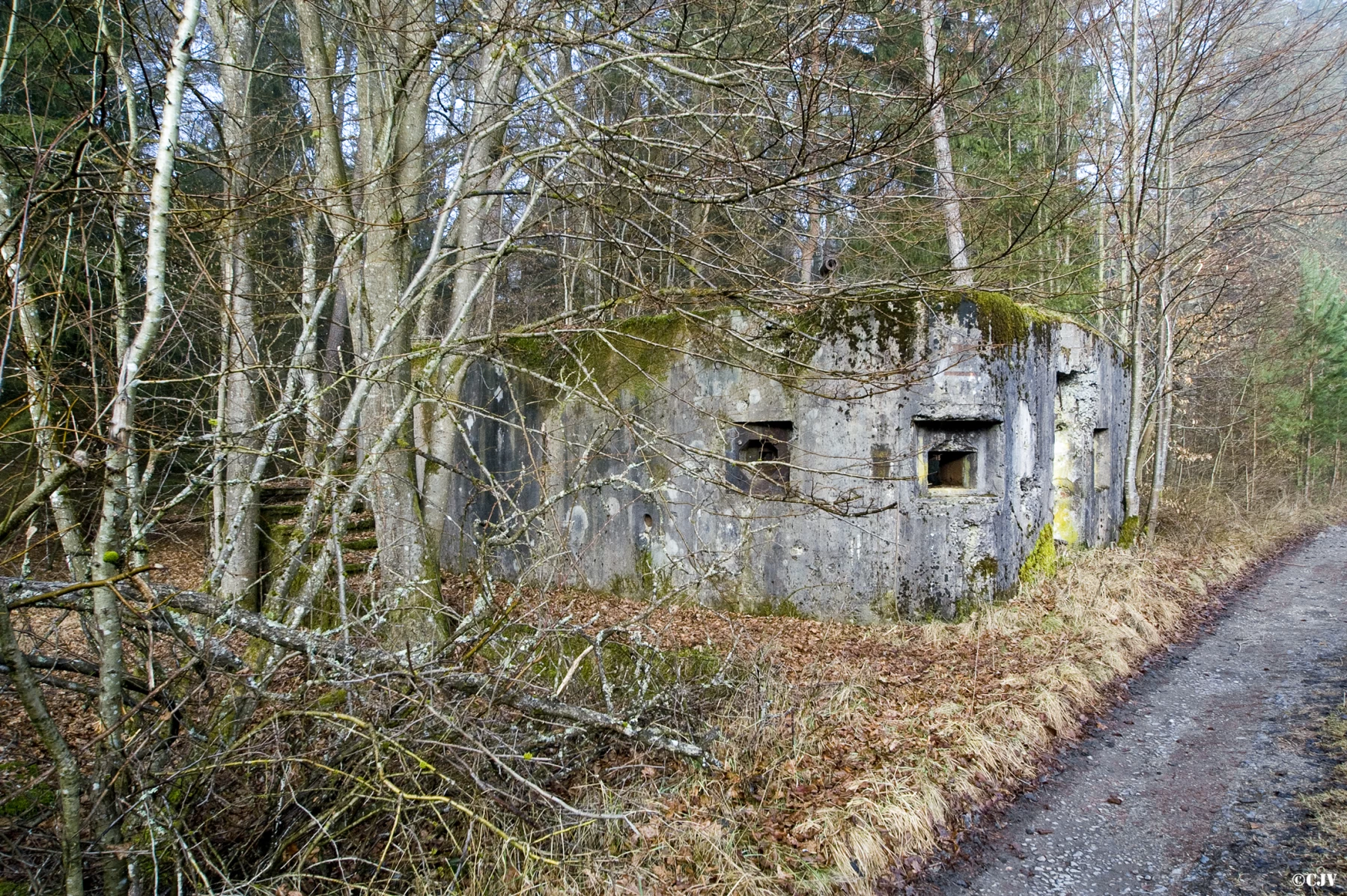 Ligne Maginot - LUTZELHARDT - (Poste GRM - Maison Forte) - 