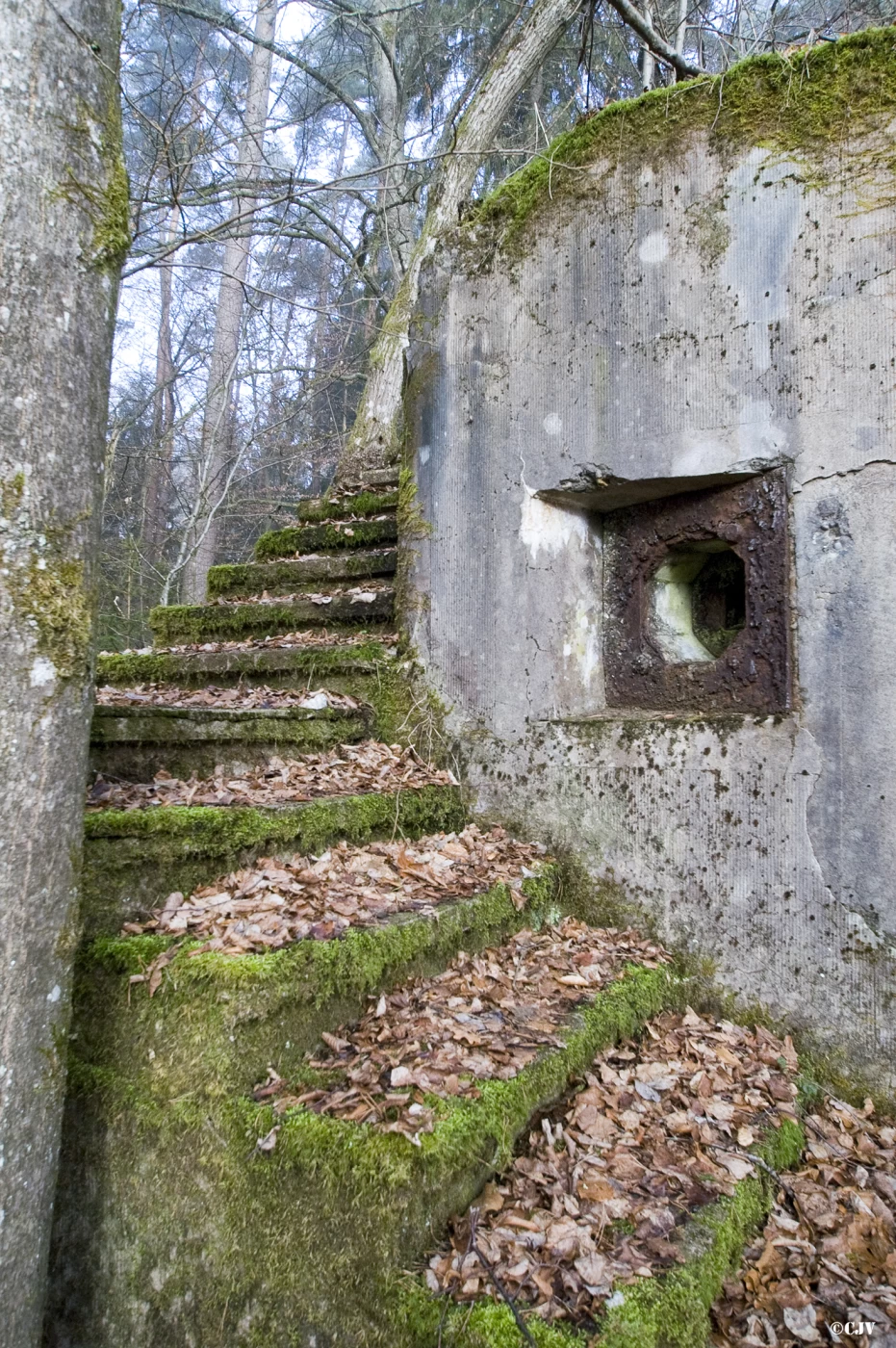 Ligne Maginot - LUTZELHARDT - (Poste GRM - Maison Forte) - L'escalier
