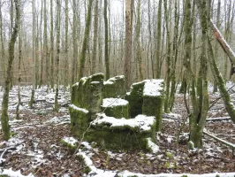 Ligne Maginot - REISWEG 4 - (Blockhaus pour arme infanterie) - L'arrière du poste de tir.