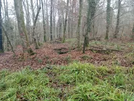 Ligne Maginot - KOENIGSBRUCK NORD EST 2 - (Cuve pour arme d'infanterie) - La cuve