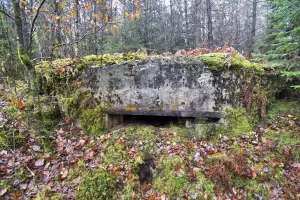 Ligne Maginot - GRAFENWEIHER 2 - (Blockhaus pour canon) - 