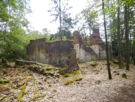 Ligne Maginot - BIESENBERG - (Casernement) - Les ruines du casernement dégagées par l'association AFVN