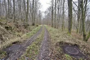 Ligne Maginot - VERLORENERBACH - (DMP - Dispositif de Mine Permanent) - 
