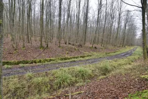 Ligne Maginot - VERLORENERBACH - (DMP - Dispositif de Mine Permanent) - 