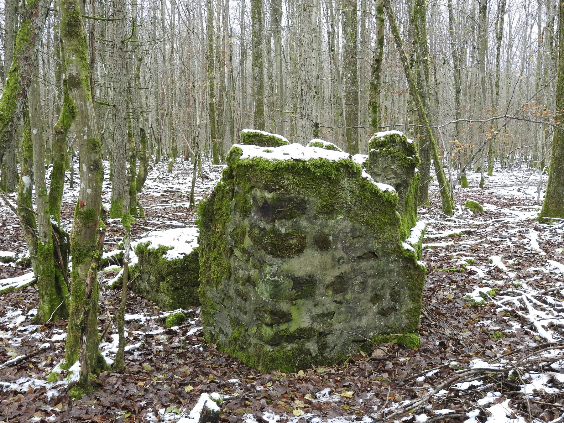 Ligne Maginot - REISWEG 4 - (Blockhaus pour arme infanterie) - 