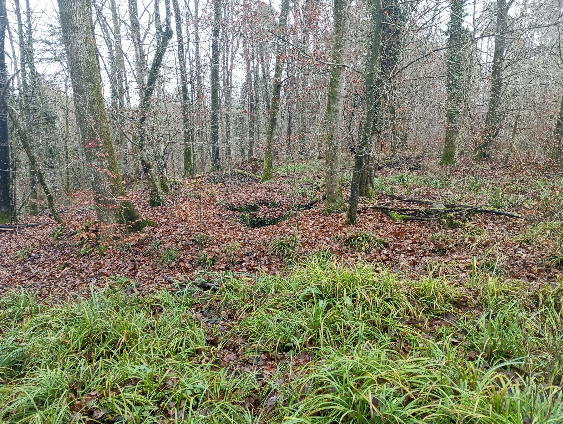 Ligne Maginot - KOENIGSBRUCK NORD EST 2 - (Cuve pour arme d'infanterie) - La cuve