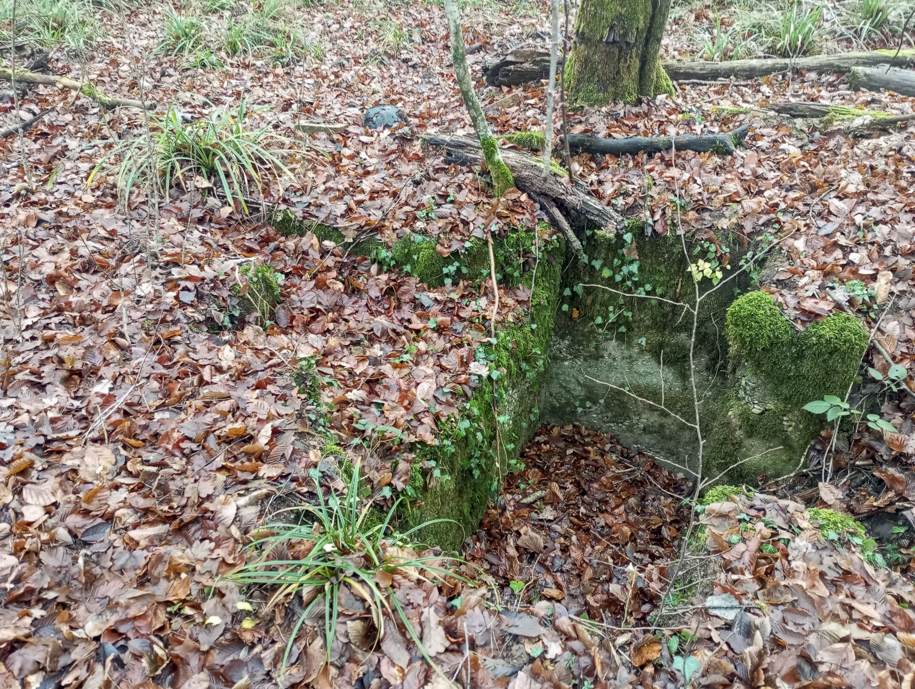 Ligne Maginot - KOENIGSBRUCK NORD EST 2 - (Cuve pour arme d'infanterie) - La cuve