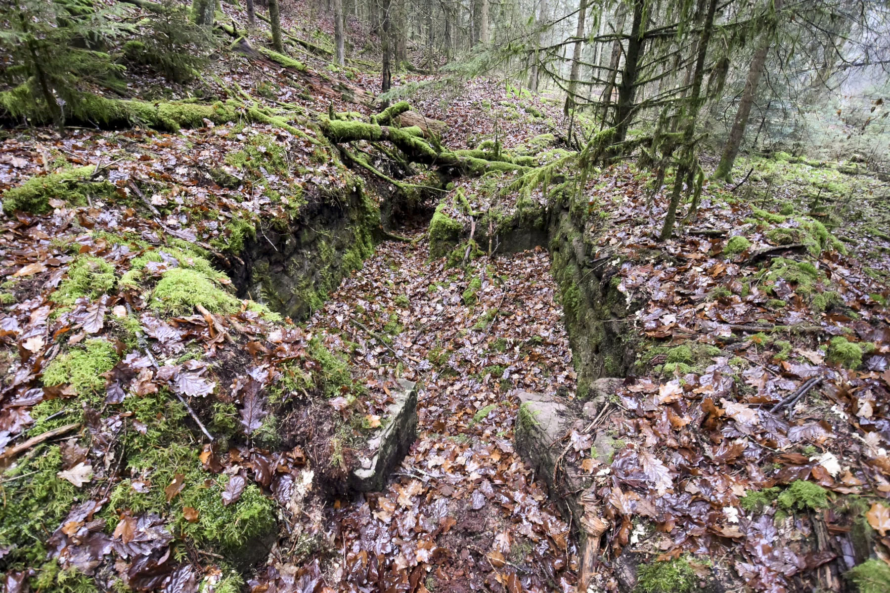 Ligne Maginot - ERBSENBERG - (Cuve pour arme d'infanterie) - 