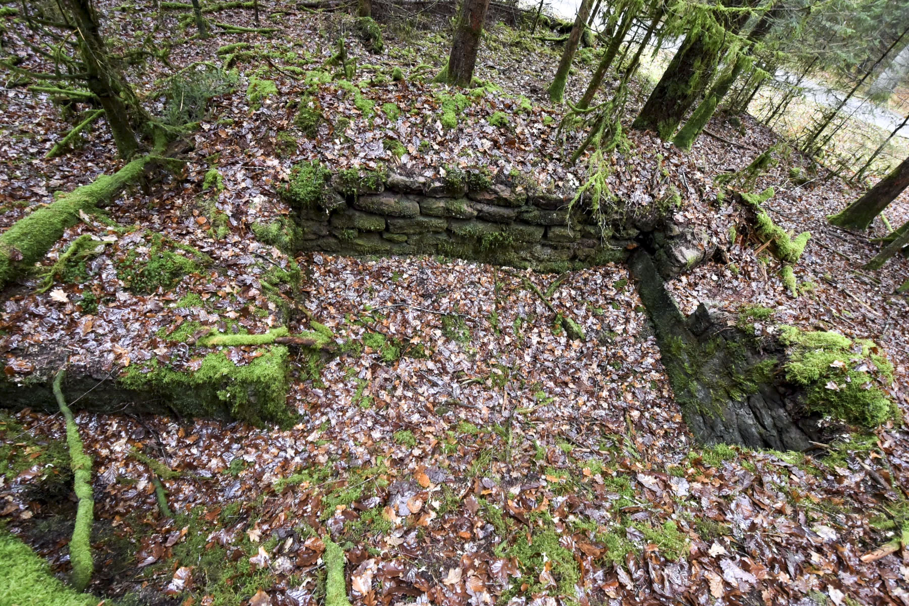 Ligne Maginot - ERBSENBERG - (Cuve pour arme d'infanterie) - 