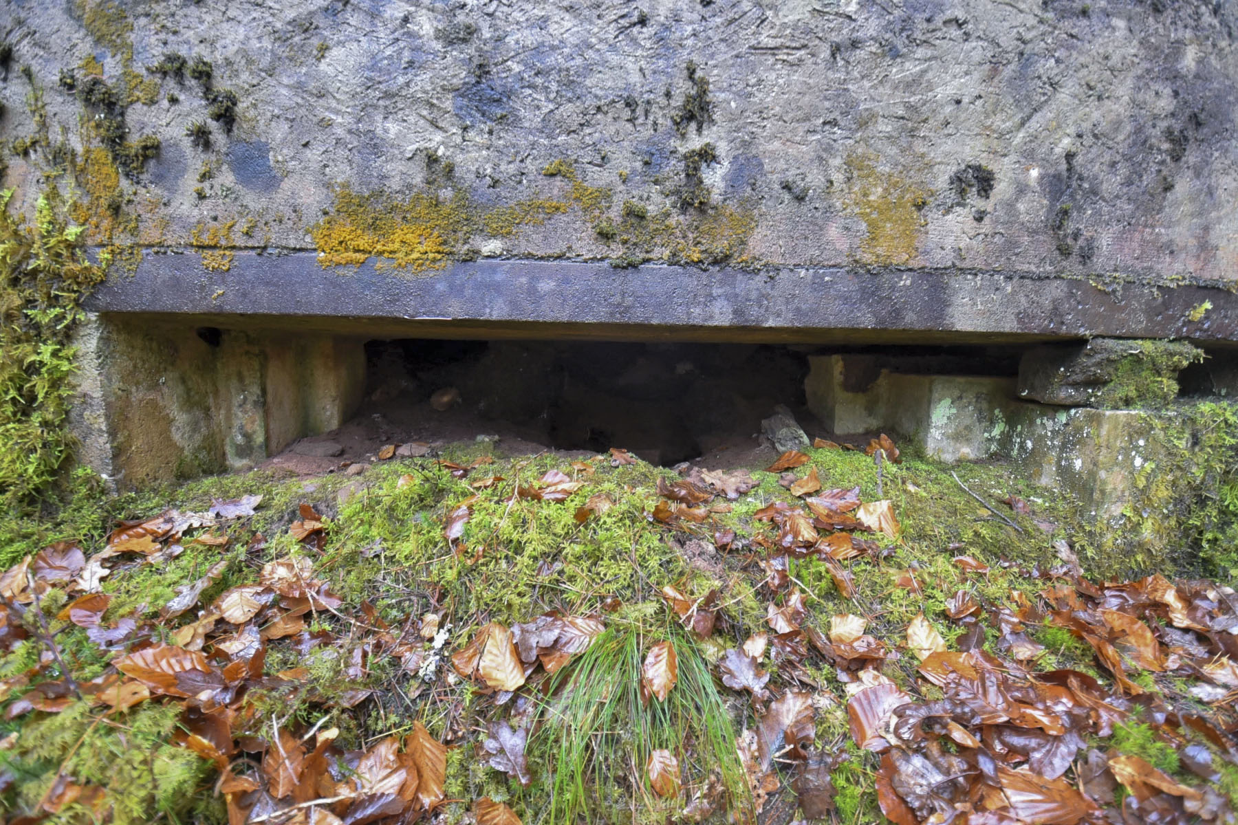 Ligne Maginot - GRAFENWEIHER 2 - (Blockhaus pour canon) - 