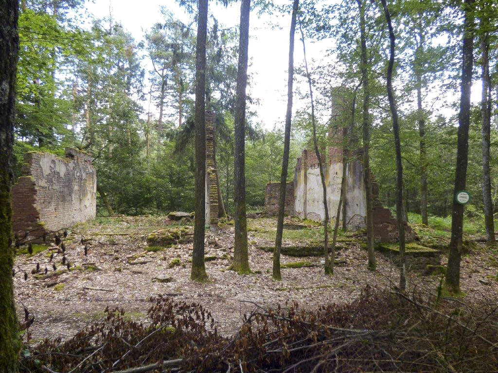 Ligne Maginot - BIESENBERG - (Casernement) - Les ruines du casernement dégagées par l'association AFVN