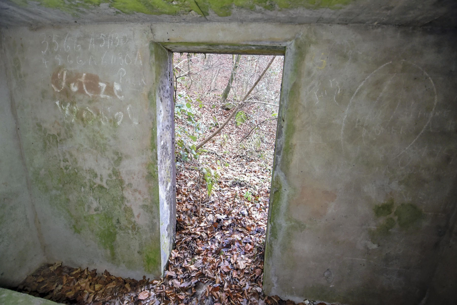 Ligne Maginot - KUHBRUCK EST - (Blockhaus pour arme infanterie) - 