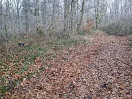 Ligne Maginot - RAMEMONT (QUARTIER MORFONTAINE - II/139° RIF) - (PC de Quartier) - Le PC se situe à droite du sac a dos