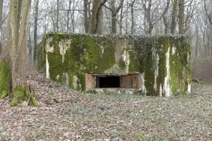 Ligne Maginot - CB302 - KANFENER BUSCH 6 - (Blockhaus pour canon) - Vue générale