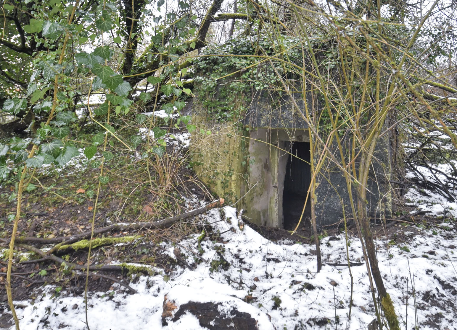 Ligne Maginot - GERSTHEIM 4 (TêTE DE PONT DE )  - (Abri) - 