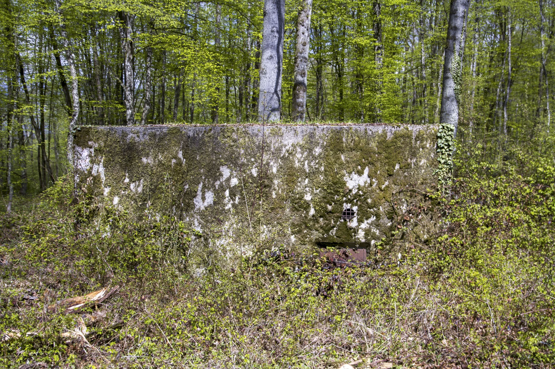 Ligne Maginot - CB301 - KANFENER BUSCH 7 - (Blockhaus pour canon) - Vue latérale côté entrée du personnel