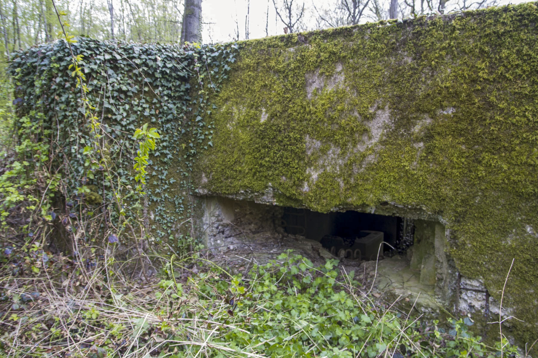 Ligne Maginot - CB301 - KANFENER BUSCH 7 - (Blockhaus pour canon) - 