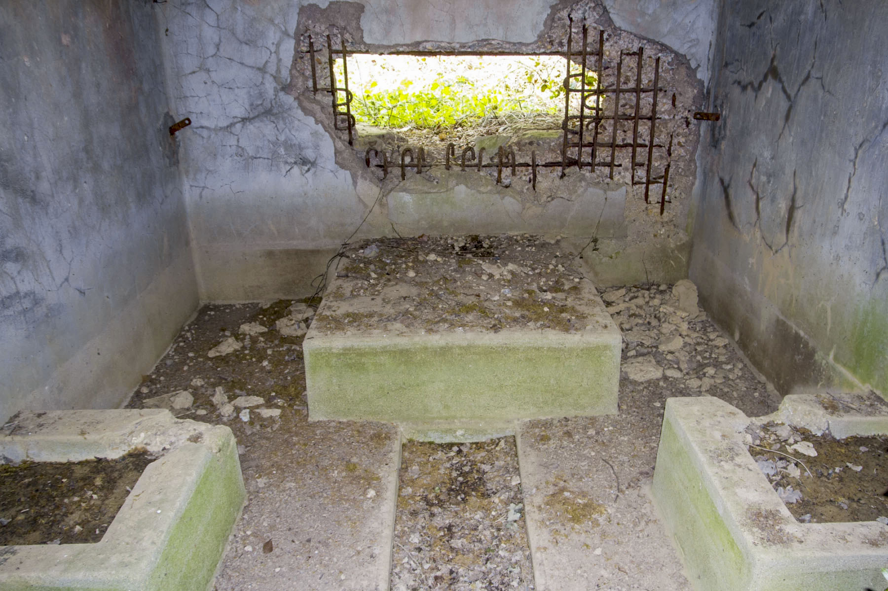 Ligne Maginot - CB301 - KANFENER BUSCH 7 - (Blockhaus pour canon) - 