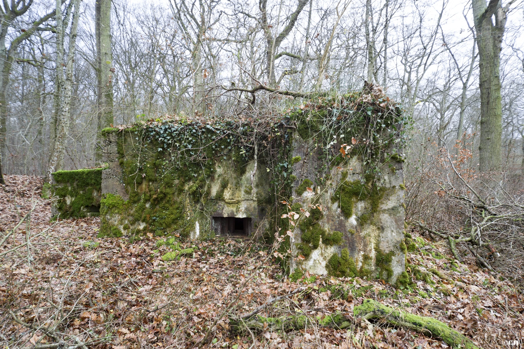 Ligne Maginot - CB226 - BOIS DE CATTENOM 02 - (Blockhaus pour arme infanterie) - Le blockhaus et son annexe