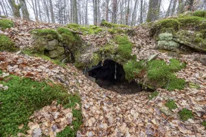 Ligne Maginot - PFAFFENBERG SUD - (Abri) - L'entrée