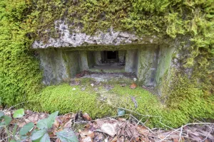 Ligne Maginot - DAMBACH EST - (Casemate d'infanterie - Simple) - 