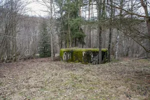 Ligne Maginot - DAMBACH Est - (Casemate d'infanterie) - 
