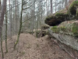 Ligne Maginot - BUCKELHANS - (PC) - Groupe d'abris sous roche