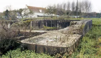 Ligne Maginot - BEF 65 - ROUTE DE FAUMONT OUEST - (Blockhaus pour canon) - 