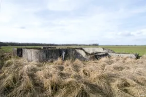 Ligne Maginot - BEF 65 - ROUTE DE FAUMONT OUEST - (Blockhaus pour canon) - 
