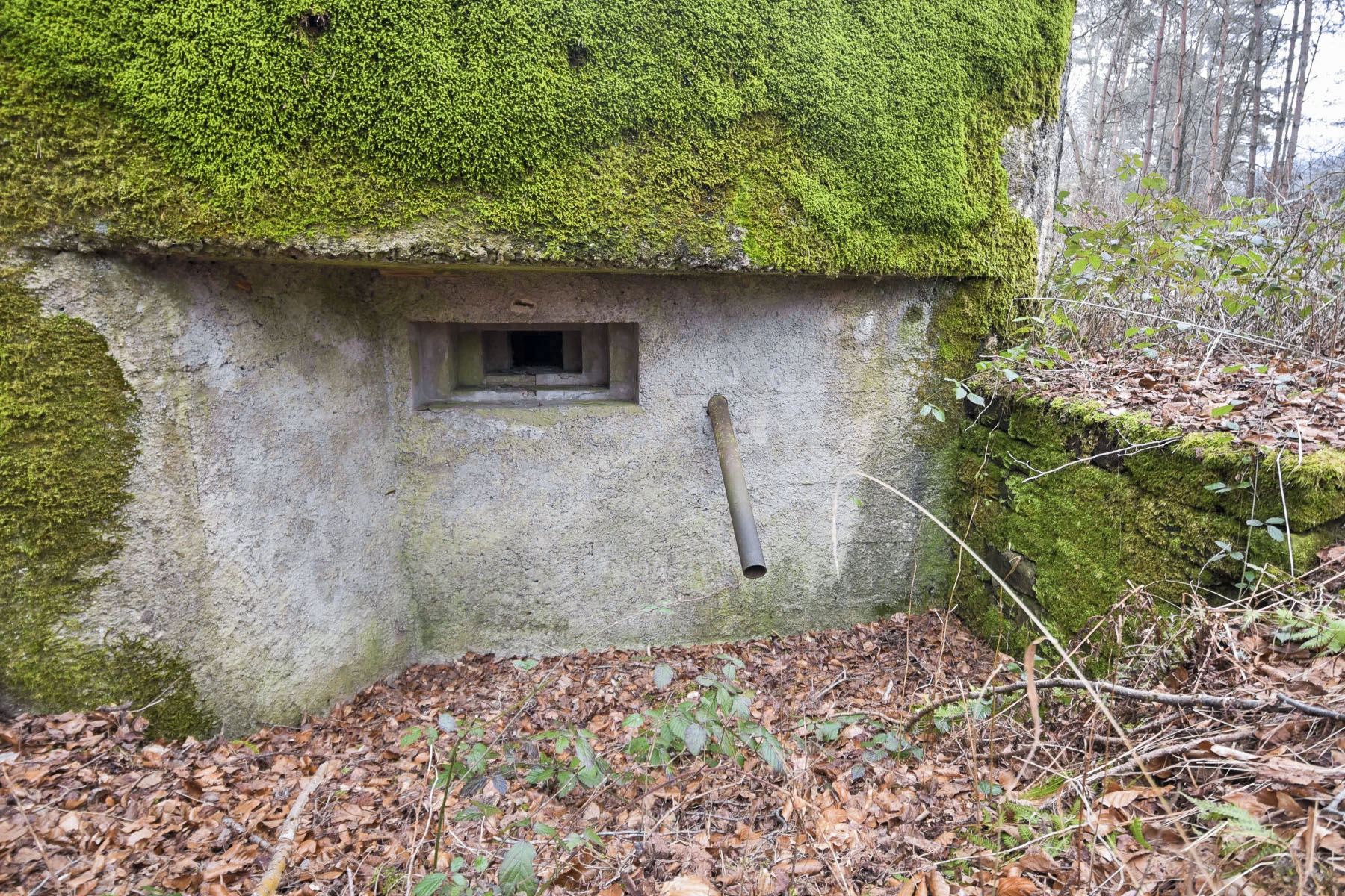 Ligne Maginot - DAMBACH EST - (Casemate d'infanterie - Simple) - 