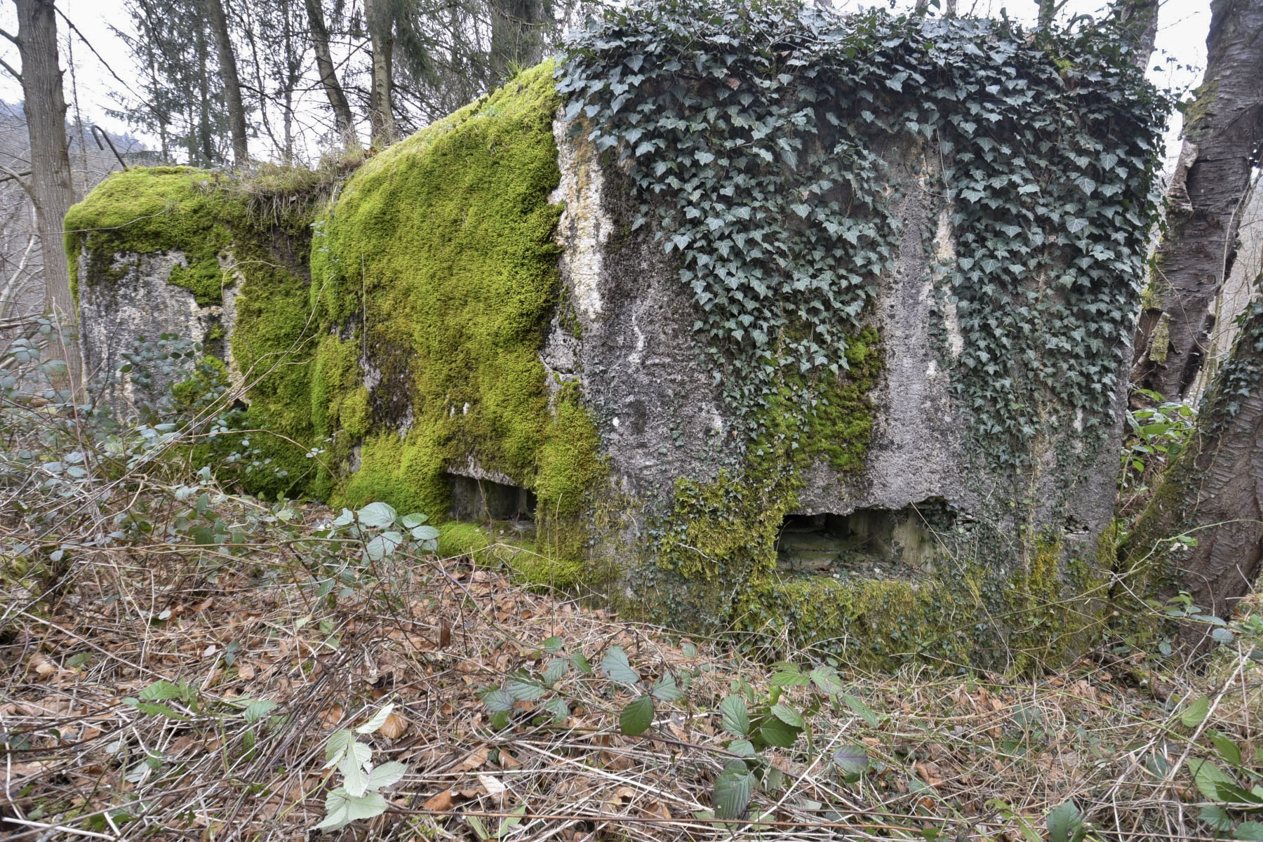 Ligne Maginot - DAMBACH EST - (Casemate d'infanterie - Simple) - 