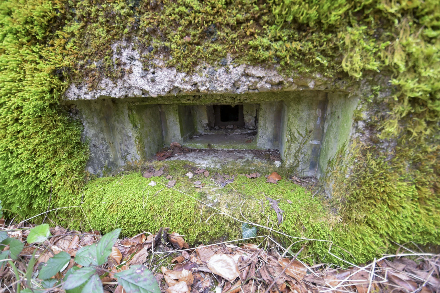 Ligne Maginot - DAMBACH EST - (Casemate d'infanterie - Simple) - 