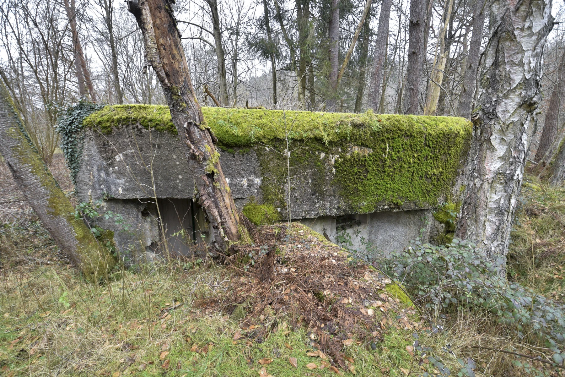 Ligne Maginot - DAMBACH EST - (Casemate d'infanterie - Simple) - 