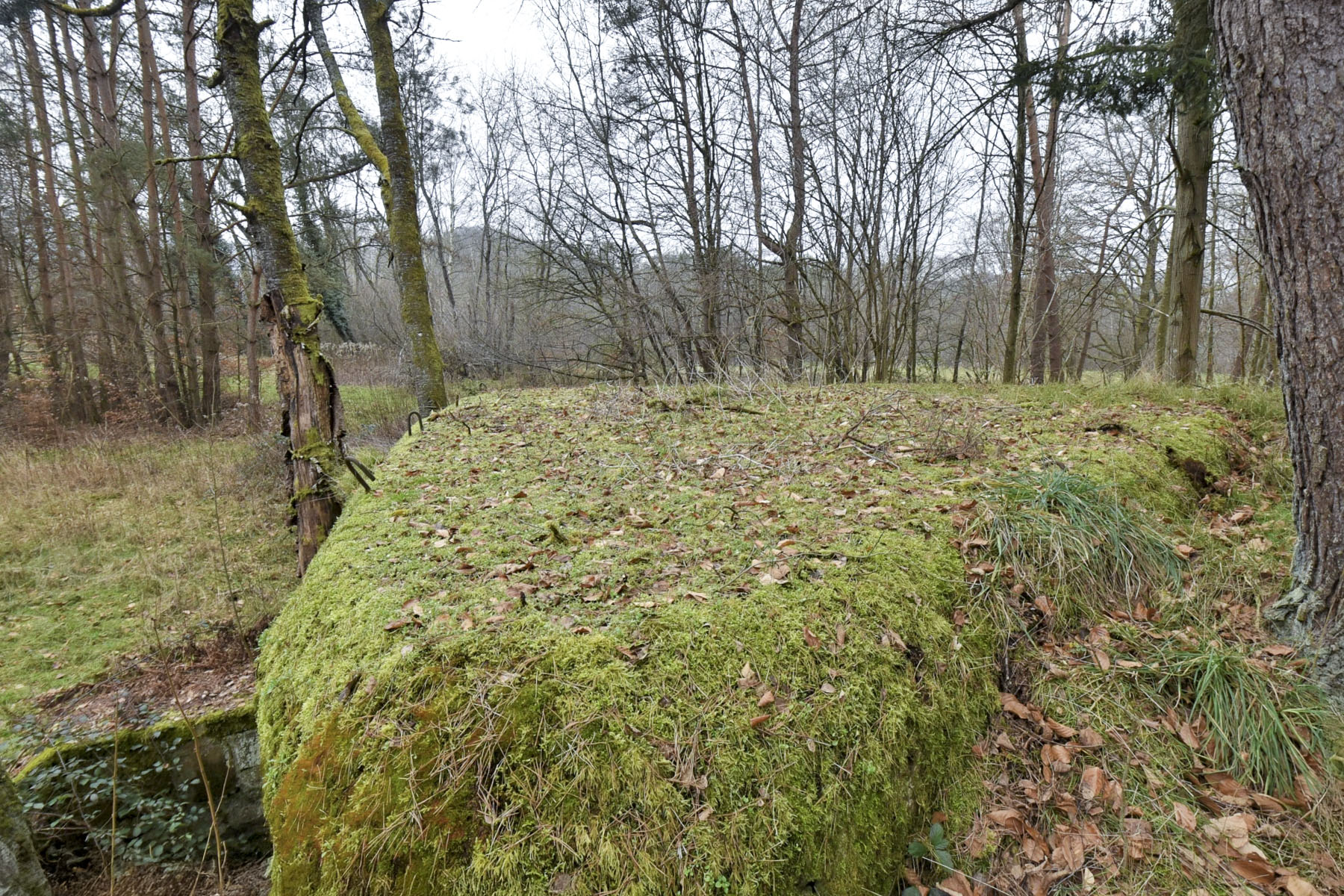 Ligne Maginot - DAMBACH EST - (Casemate d'infanterie - Simple) - 