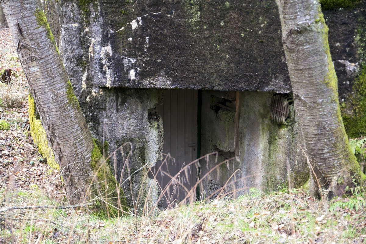 Ligne Maginot - DAMBACH Est - (Casemate d'infanterie) - 