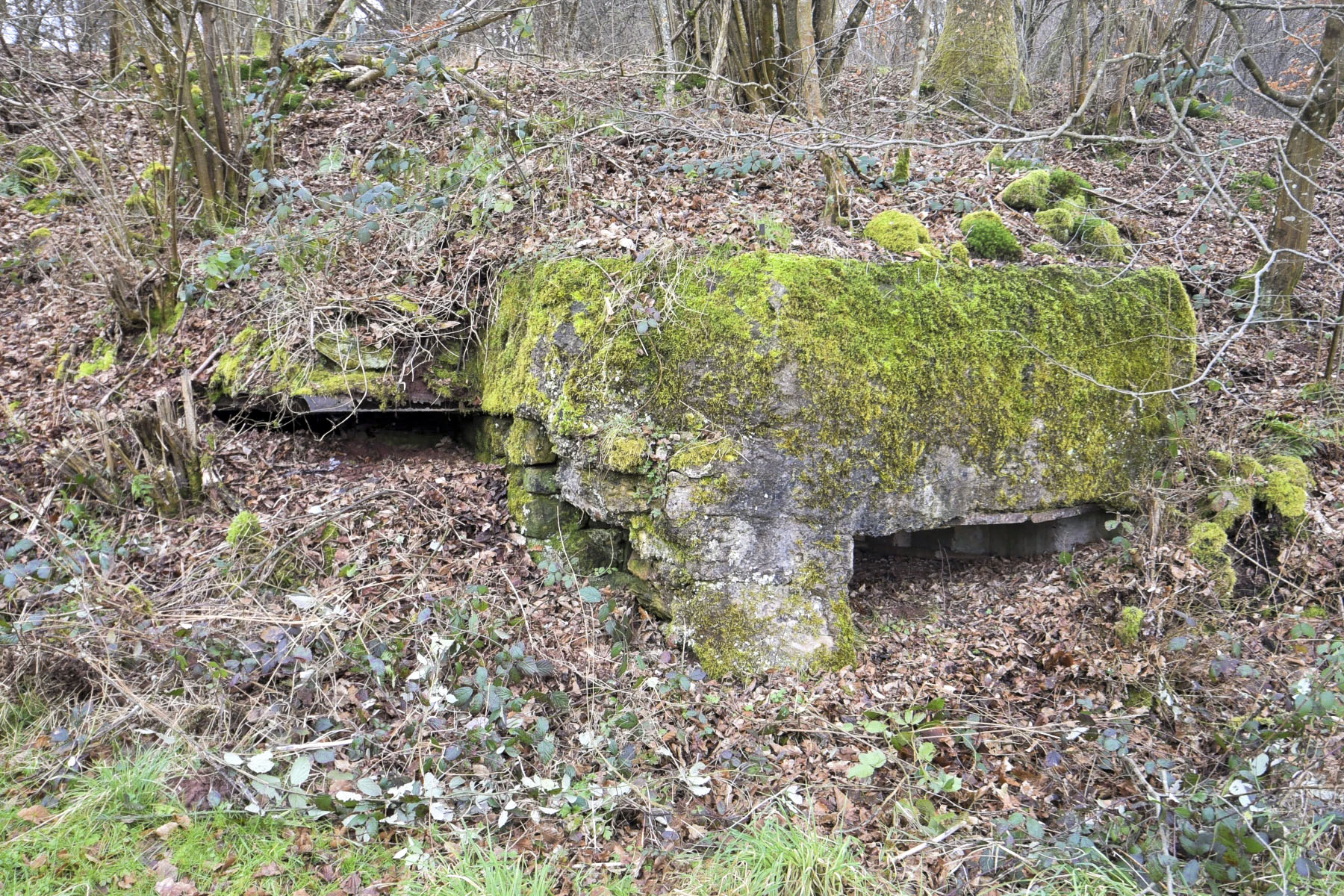 Ligne Maginot - HEILLINGEN DELL - (Blockhaus pour arme infanterie) - Vue générale extérieure