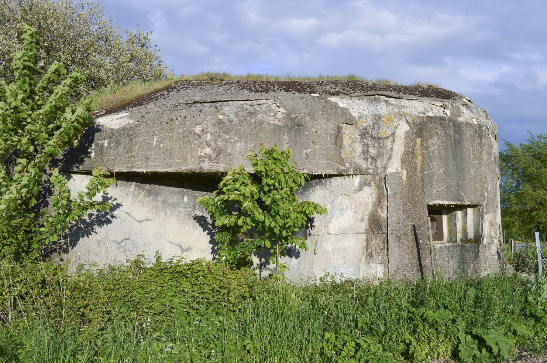 Ligne Maginot - B337 - FAY - (Blockhaus pour canon) - 
